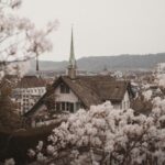 The Cross: God’s Redemptive Plan Revealed